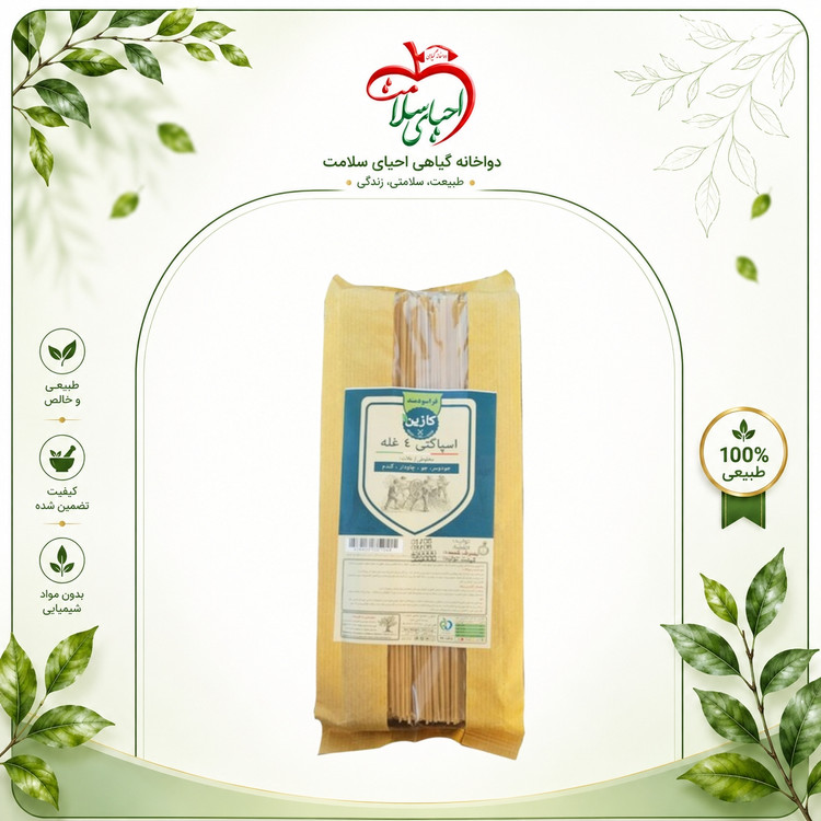 اسپاگتی ۴ غله کازین – پاستایی مغذی و کامل برای سلامتی و تناسب اندام